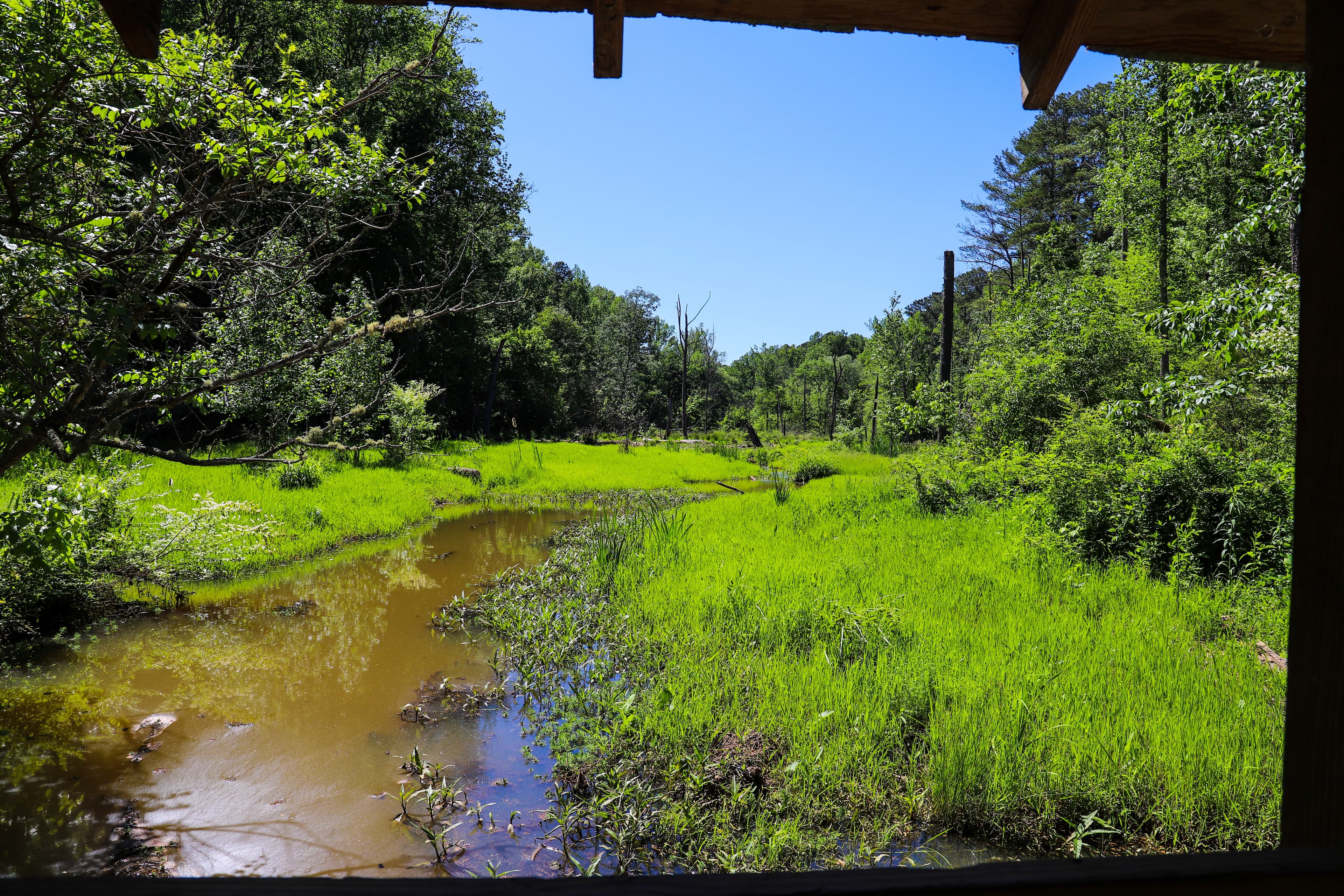 Rural Wetlands